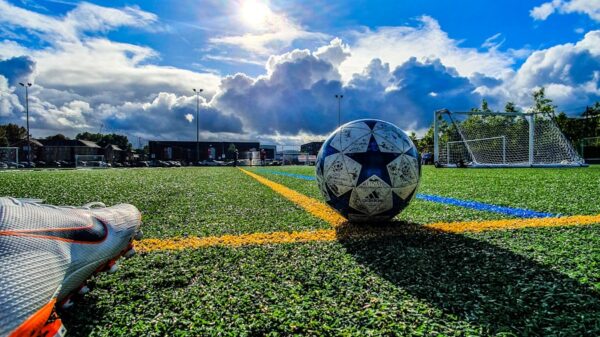 blue and grey soccer ball on green field under white and blue sky during daytime