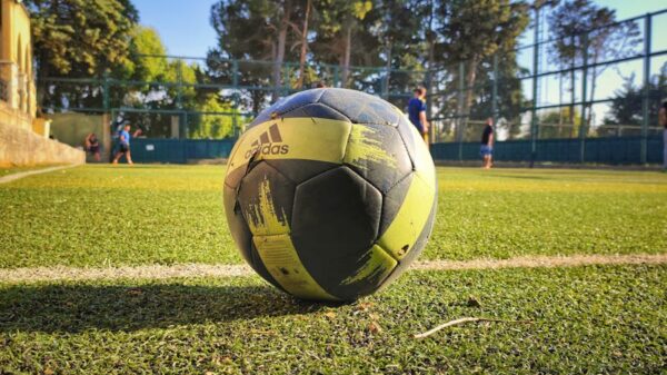 Close-up of a soccer ball on a football field in Miziara, Lebanon.