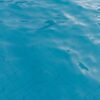 Close-up of a vibrant blue swimming pool surface with gentle ripples and tile lines visible underwater.