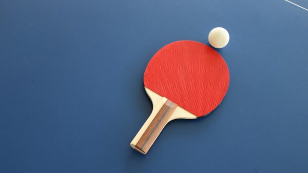 red and brown wooden table tennis racket