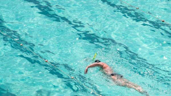 From above full length male swimmer in trunks swimming front crawl in big swimming pool
