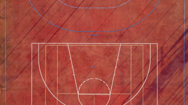 a close-up of a graph