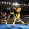 boxing, boxers, ring, rope, ropes, pugilists, pugilism, athletes, match, competition, punch, punching, macro, close-up, boxing, boxing, boxing, boxing, boxing, punch