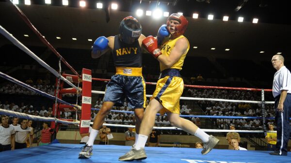 boxing, boxers, ring, rope, ropes, pugilists, pugilism, athletes, match, competition, punch, punching, macro, close-up, boxing, boxing, boxing, boxing, boxing, punch