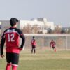 man in blue and red soccer jersey shirt and black shorts standing on green grass field