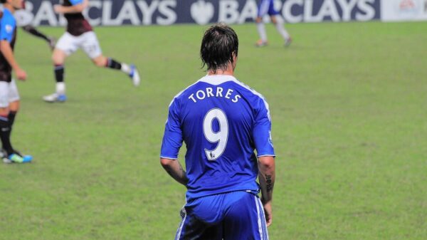 fernando torres, chelsea, football, green football, chelsea, chelsea, chelsea, chelsea, chelsea