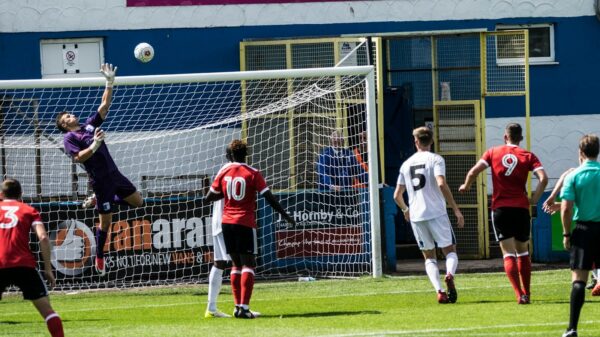 group of person playing soccer