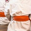 karate, martial arts, sport, belt, competition, defense, training, fitness, activity, workout, active, healthy, lifestyle, karate, karate, karate, karate, karate, martial arts, martial arts