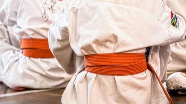 karate, martial arts, sport, belt, competition, defense, training, fitness, activity, workout, active, healthy, lifestyle, karate, karate, karate, karate, karate, martial arts, martial arts