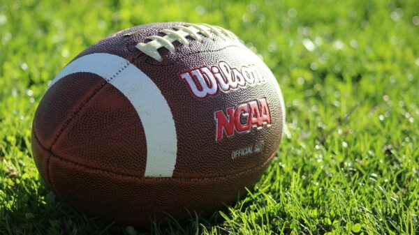 Detailed image of a Wilson NCAA football resting on vibrant green grass in daylight.