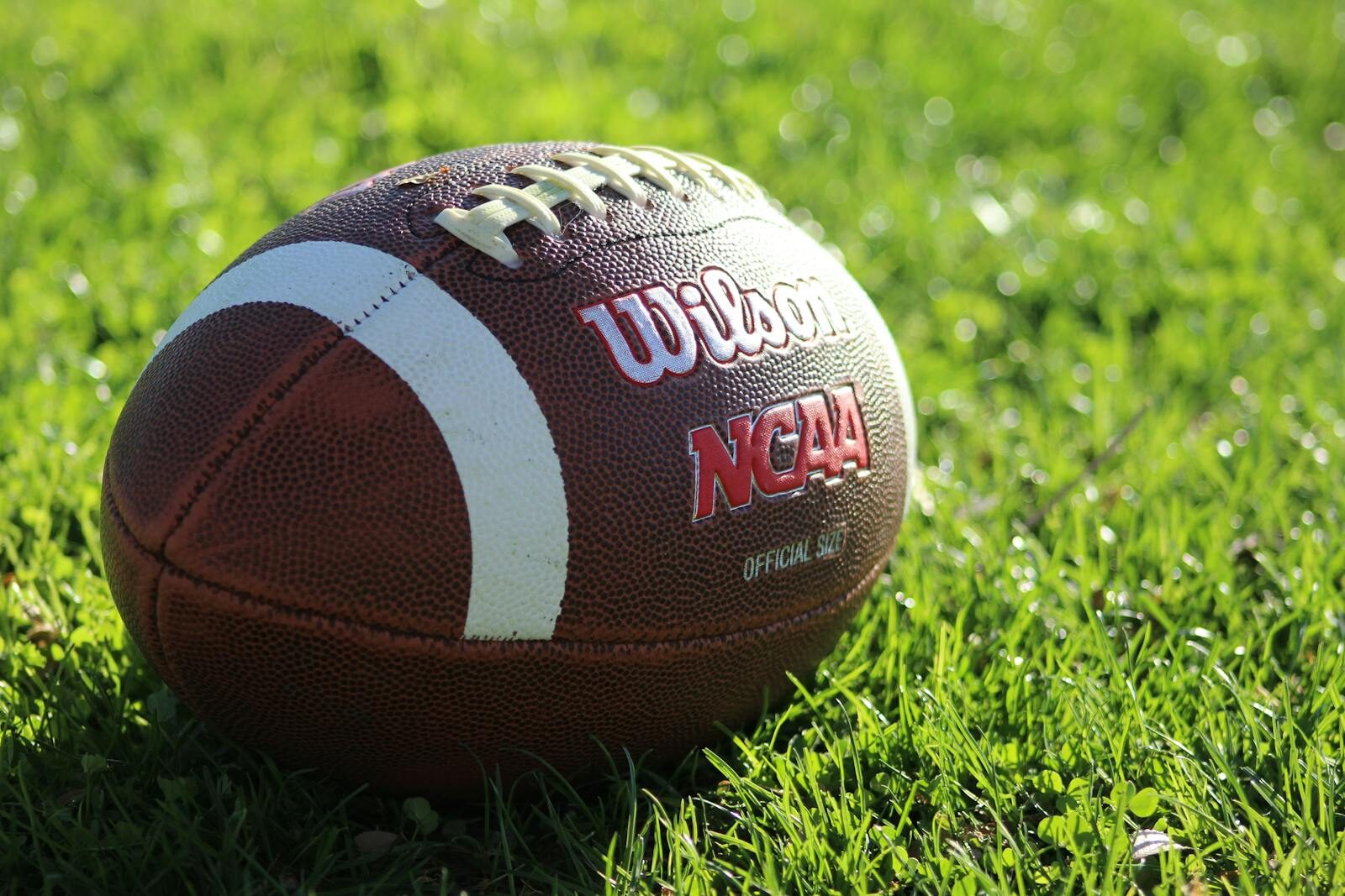 Detailed image of a Wilson NCAA football resting on vibrant green grass in daylight.