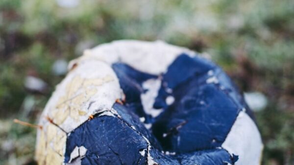 white and blue soccer ball on green grass field