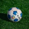 Blue and white soccer ball resting on a lush green grass field in daylight.