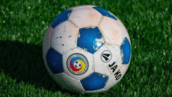Blue and white soccer ball resting on a lush green grass field in daylight.