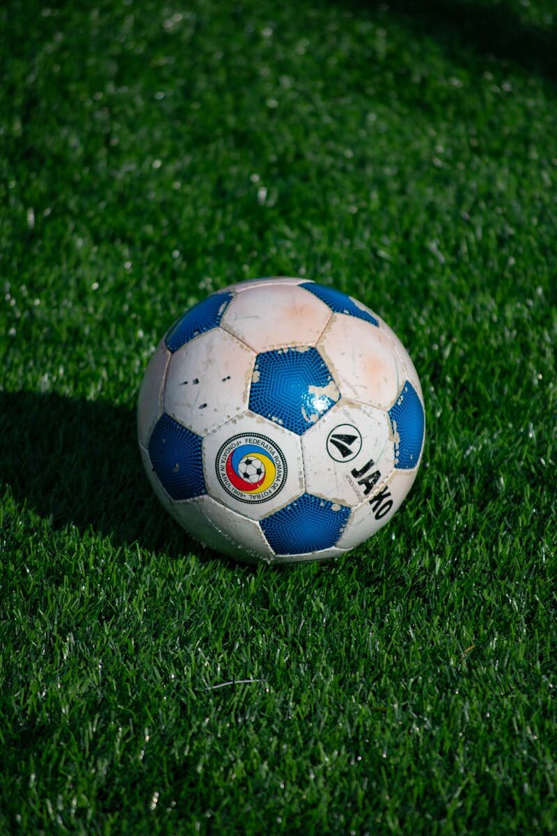 Blue and white soccer ball resting on a lush green grass field in daylight.