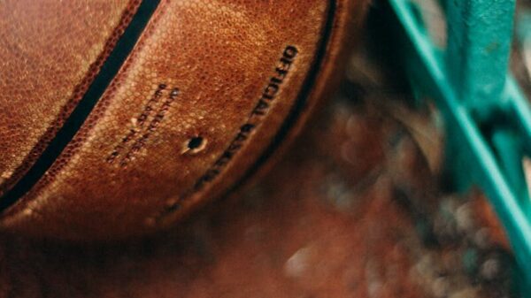 Detailed view of a leather basketball resting against a green fence on an outdoor court.