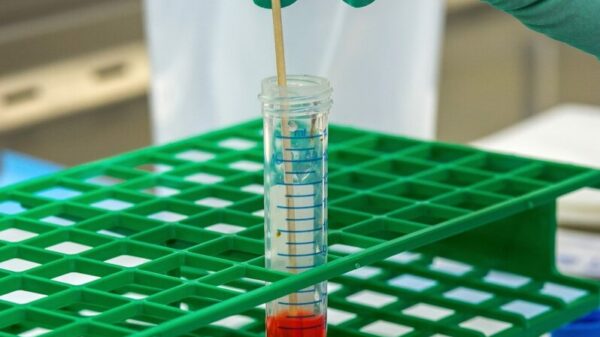 person holding clear plastic cup with orange straw