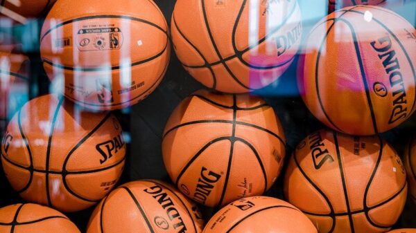 brown Spalding basketball lot