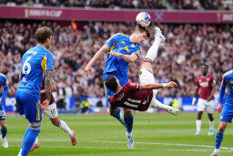 Taty Castellanos,Jaka Bijol