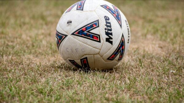 Close-up of a soccer ball on dry grass in Tipton, England. Perfect for sports and recreation themes.