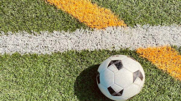 white and black soccer ball on green grass field
