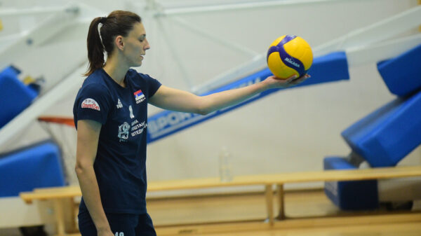 Training of the senior volleyball team of Serbia in Kosutnjak. Trening seniorske odbojkaske reprezentacije Srbije u Kosutnjaku.
