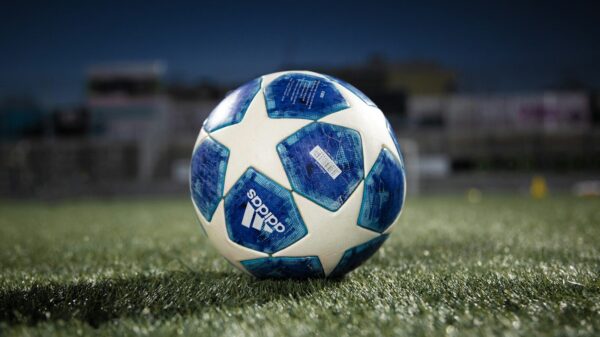white and blue soccer ball on green grass field