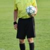 soccer, ball, referee, sports, football, soccer ball, field, playing field, referee, referee, referee, referee, referee