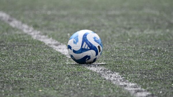 Close-up of a blue and white soccer ball resting on a lined green turf field.