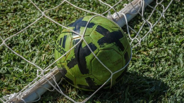 Bright green soccer ball stuck in a net on a grassy field in sunlight.