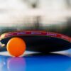 sports, ball, nature, leisure time, game, table tennis, ping-pong, to play, fun, game device, summer, tennis sports, tennis