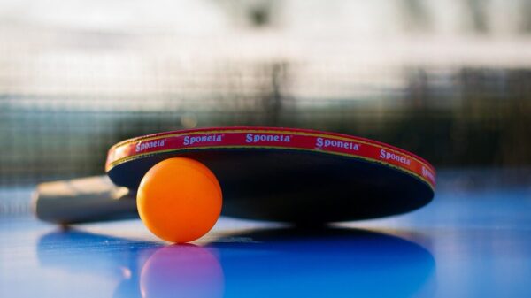 sports, ball, nature, leisure time, game, table tennis, ping-pong, to play, fun, game device, summer, tennis sports, tennis
