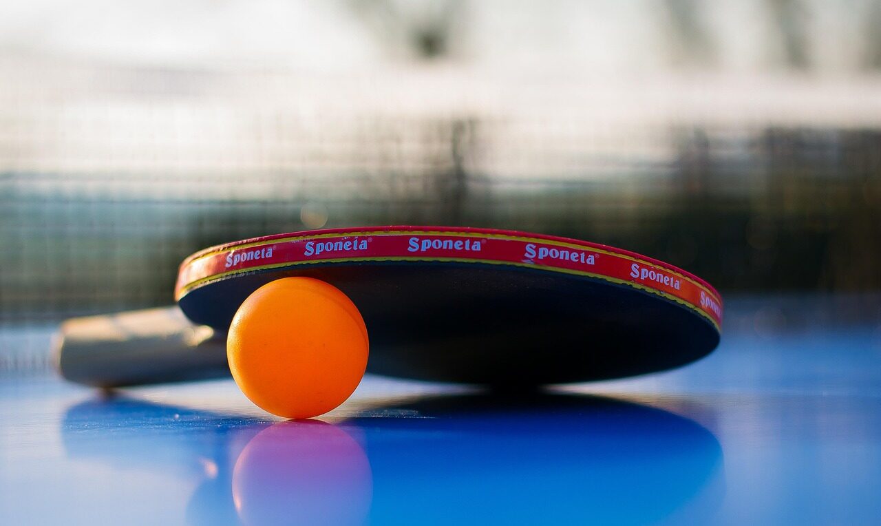 sports, ball, nature, leisure time, game, table tennis, ping-pong, to play, fun, game device, summer, tennis sports, tennis