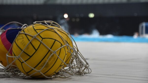 water polo ball, ball, water polo, pool, swimming pool, water, game, nature, sport, water sport