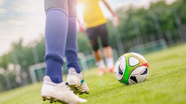 football, ball, training, sport, rush, play, football pitch, football boots, leisure activity, football field, goalkeeper, goalkeeper training, movement, football, football, football, football pitch, football pitch, football pitch, football pitch, football pitch, football boots, football field, football field, goalkeeper