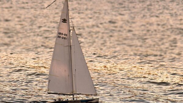 sailboat, sailing yacht, sailing ship, ship, modelling, remotely controlled, model boat, remote controlled sailboat, toy, sailboat, sailboat, sailboat, sailboat, sailboat, ship, ship, ship