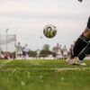 soccer, ball, sports, goal kick, corner, outdoor, black, green, kicker, to play, victory, football match, soccer, soccer, soccer, soccer, soccer