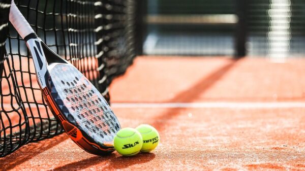 racket, padel, ball, padel tennis, sports, match, net, tennis court, padel, padel, padel, padel, padel