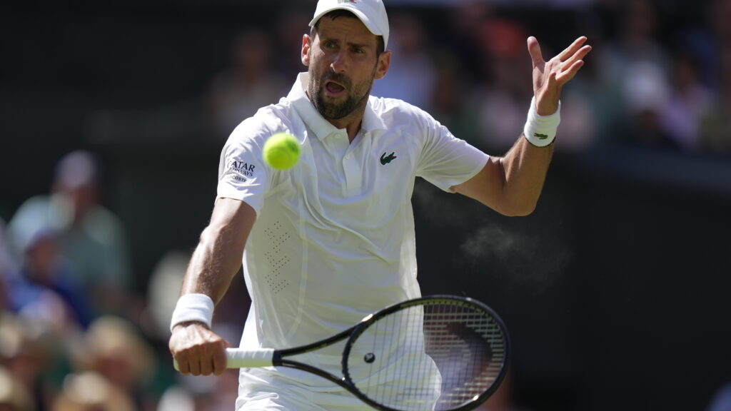 Novak Đoković o emocijama na terenu: Svi sada razumeju srpske psovke