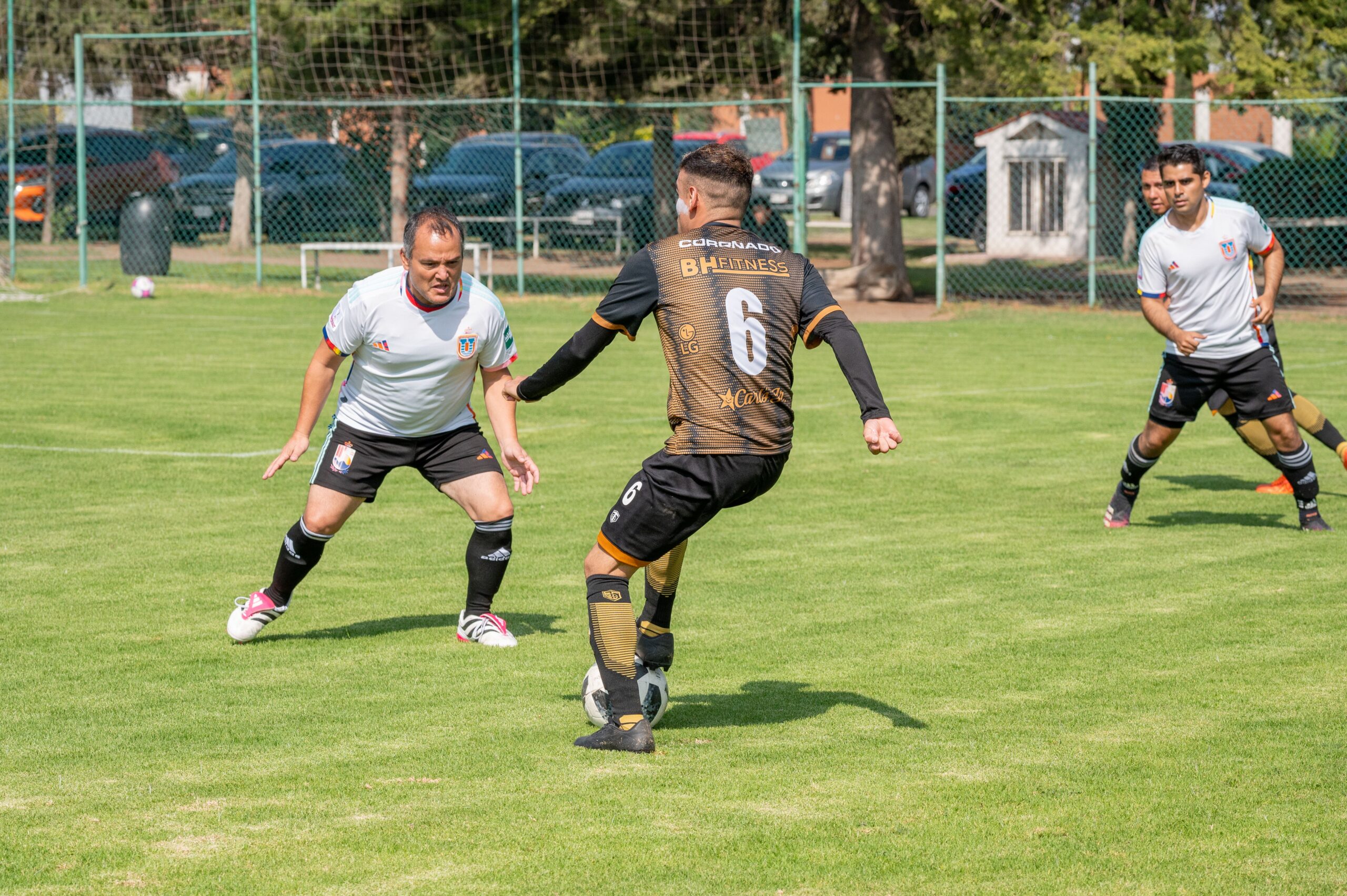 Partizan otvara sezonu protiv Zemuna u Superligi Srbije na Ubu
