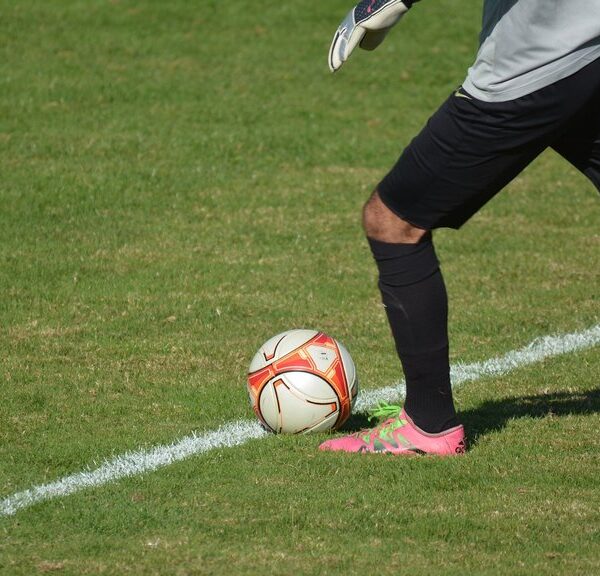 Muhamed Bešić potpisao za OFK Beograd i pojačao vezni red kluba – Muhamed Bešić fudbal