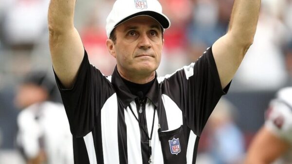 referee, professional football, touchdown, official, score, nfl, game, sport, judge, ruling, male, competition, football, pro, football american, football team, action, professional, stadium, texas, uniform, football stadium, referee, referee, referee, referee, touchdown, nfl, nfl, nfl, nfl, nfl