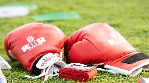 boxing gloves, boxing, field, sports, boxing gloves, boxing gloves, boxing, boxing, boxing, boxing, boxing