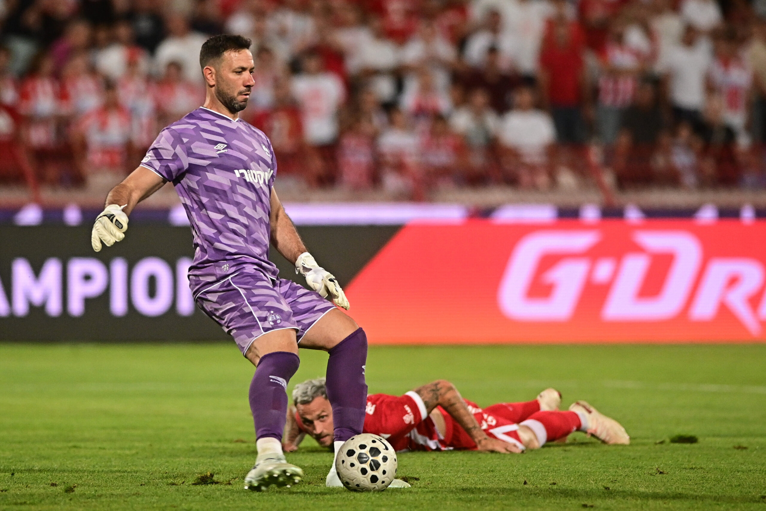 Crvena zvezda eliminisana iz Lige šampiona, Dejan Stanković i stručni štab izbegli medije – Crvena zvezda Liga šampiona Marakana