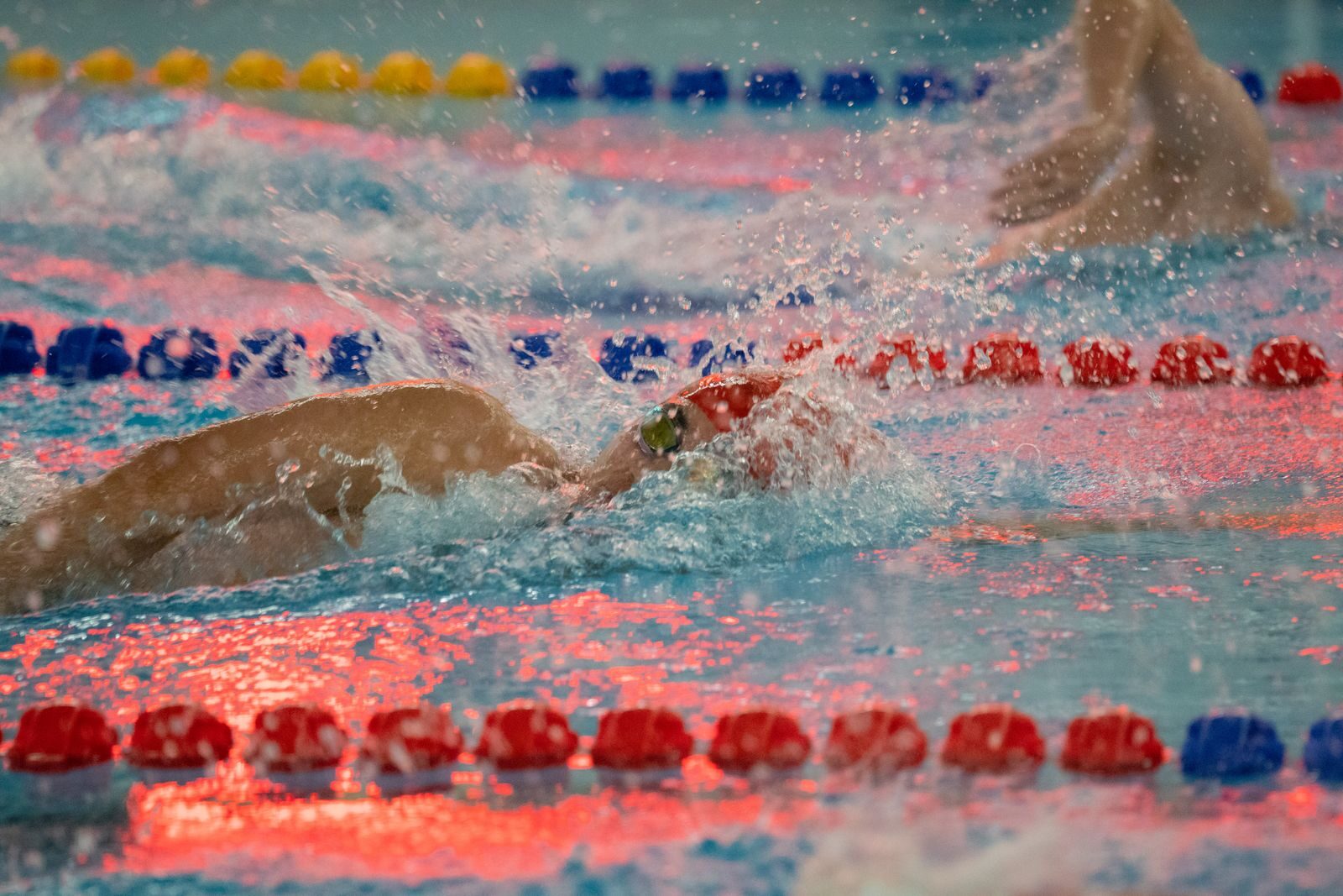 Swimmers in action during a competitive swimming event with vibrant reflections.
