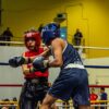 Two athletes engaged in a competitive boxing match, showcasing skill and determination.