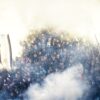 Grobari: Ne prihvatamo ostavke, ne damo Partizan upravi i Saši Iliću – Grobari Partizan Hetafe
