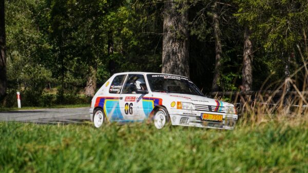 Milovan Vesnić trijumfovao u Sloveniji, Đorđe Vesnić drugi na FIA EHCC trci – Milovan Vesnić FIA EHCC Slovenija