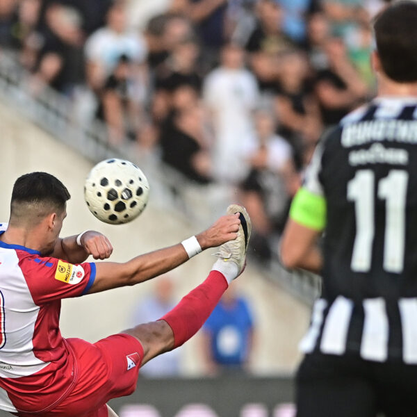 Dejan Zukić otkriva kako je povratak u Vojvodinu postao moguć zahvaljujući Zbiljiću – Dejan Zukić Vojvodina povratak